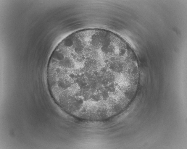 X0000114390895200911271456