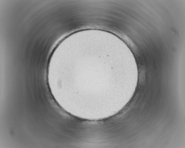 X0000114390896200911271456