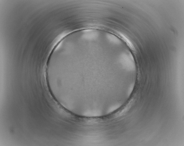 X0000114390899200911271456