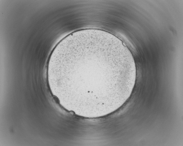 X0000114390900200911271456