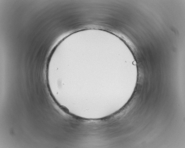 X0000114390902200911271456