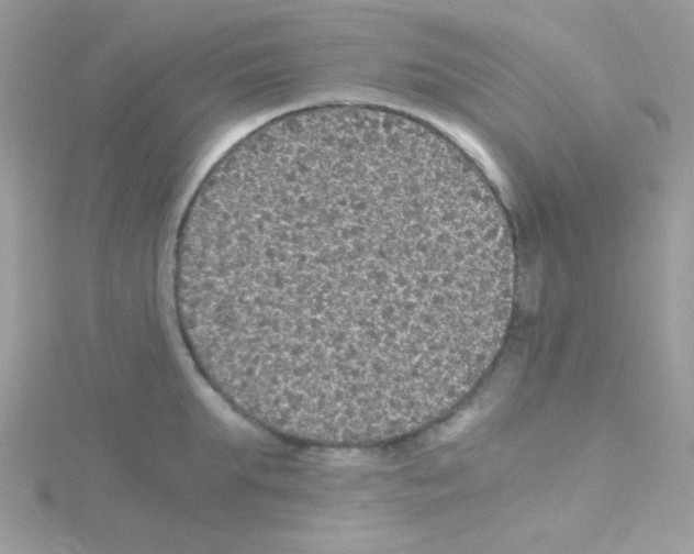 X0000114390903200911271456