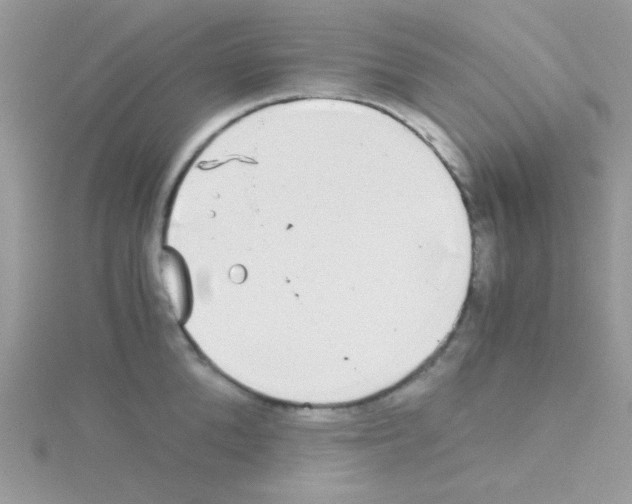 X0000114390904200911271456