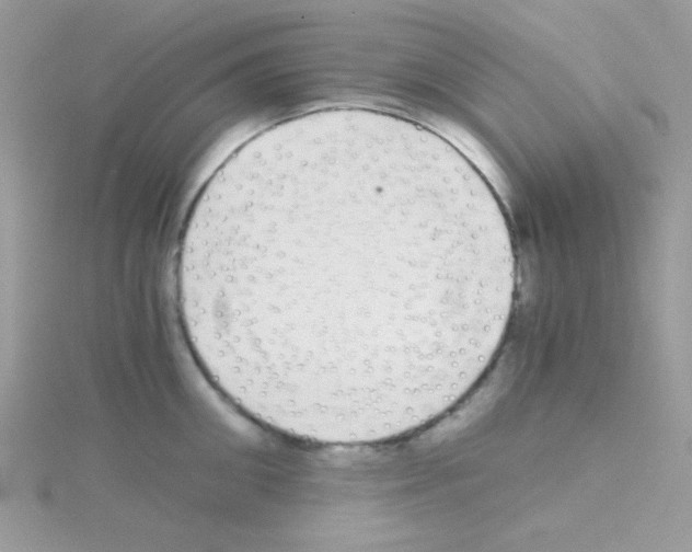 X0000114390906200911271456