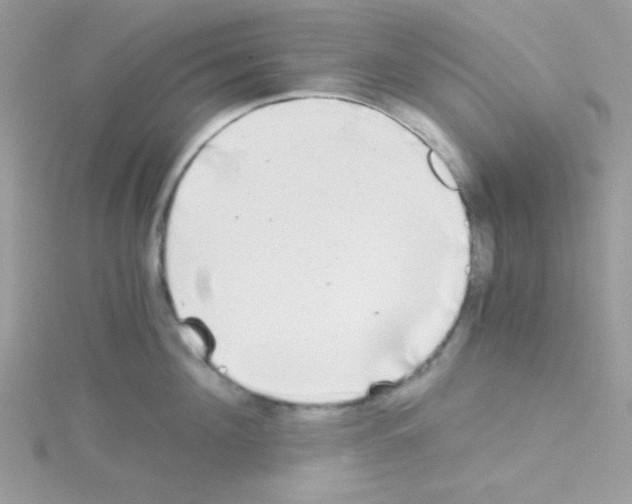 X0000114390908200911271456