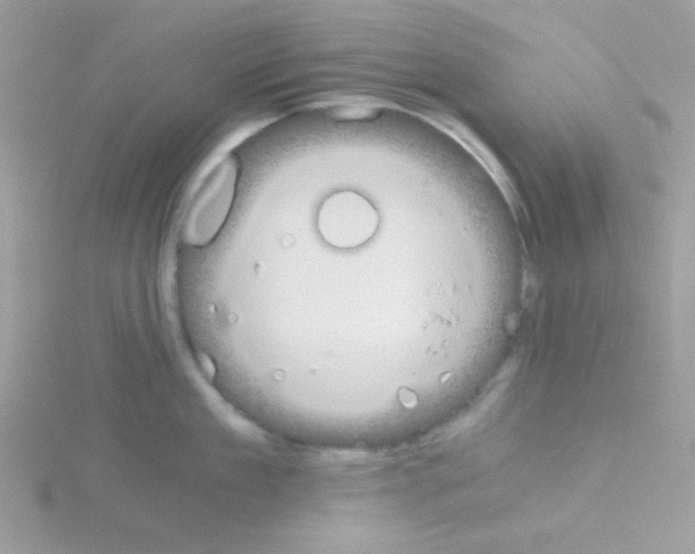 X0000114390909200911271456