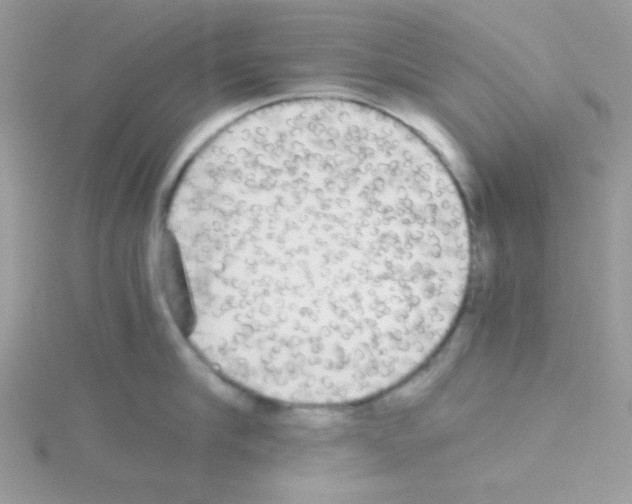 X0000114390910200911271456