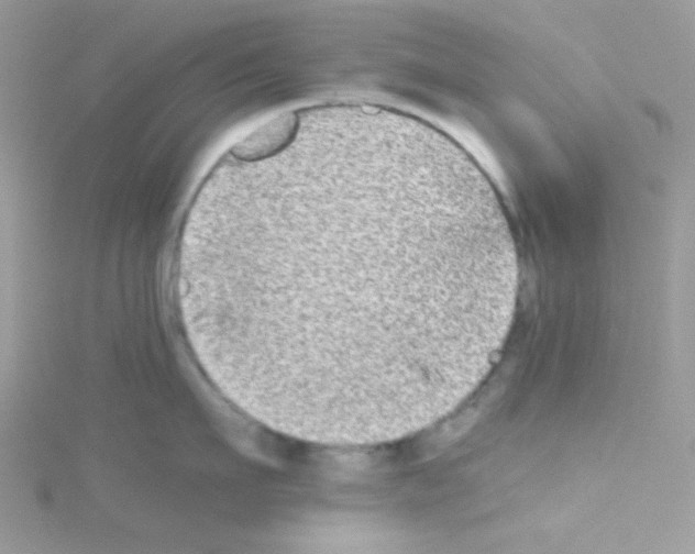 X0000114390911200911271456