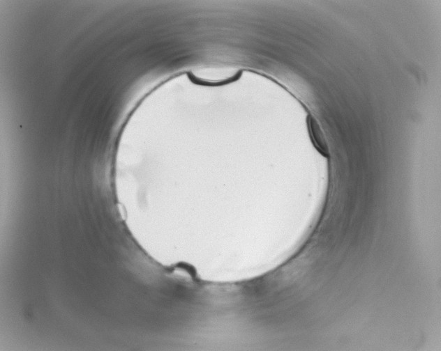 X0000114390912200911271456