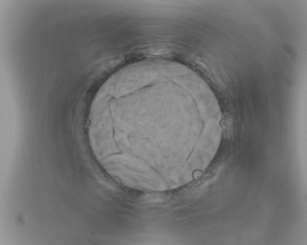 X0000114390913200911271455