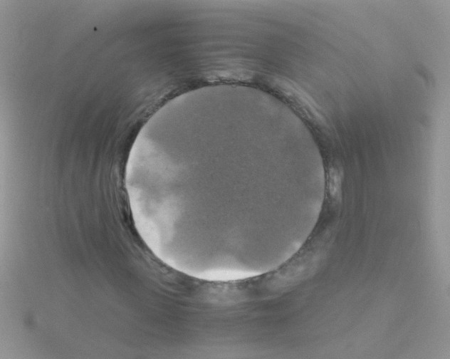 X0000114390915200911271455