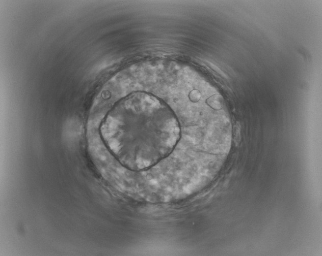 X0000114390917200911271455