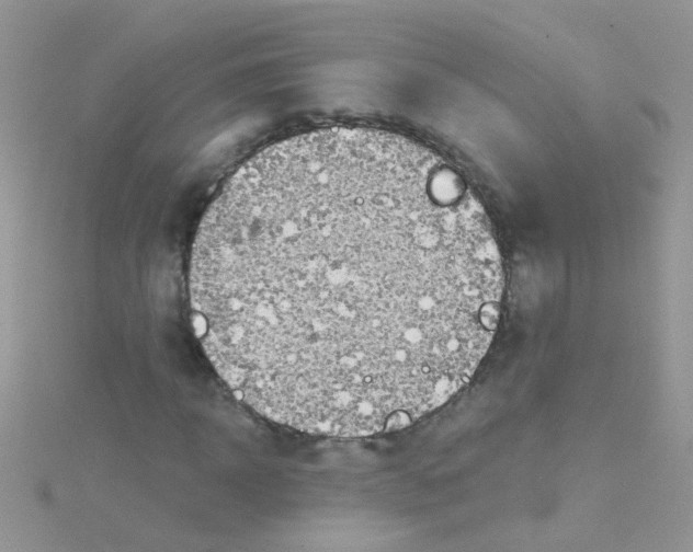 X0000114390918200911271455