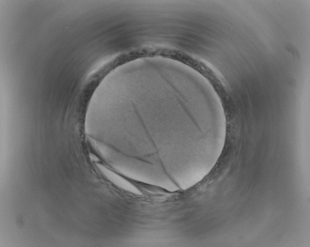 X0000114390919200911271455