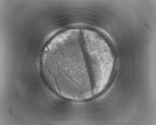 X0000114390921200911271455