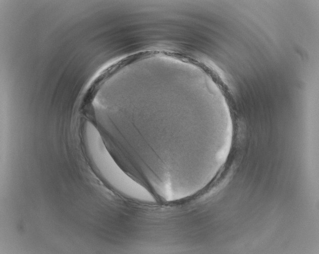 X0000114390923200911271455