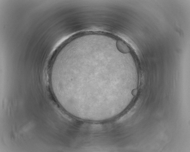 X0000114390925200911271455