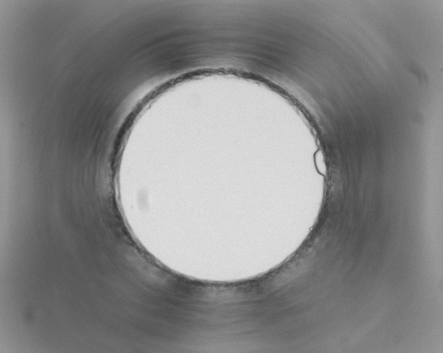 X0000114390927200911271455