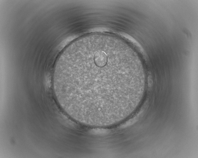 X0000114390929200911271455