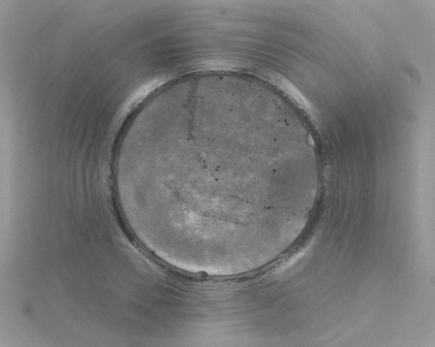 X0000114390930200911271455