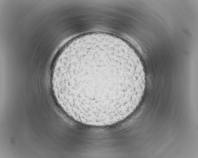 X0000114390931200911271455