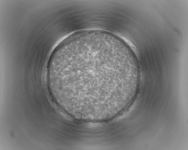 X0000114390933200911271455