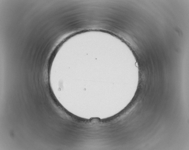 X0000114390934200911271455