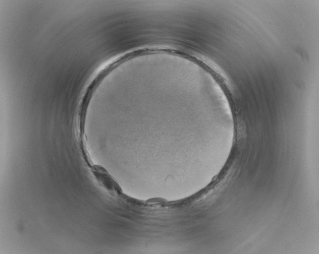 X0000114390935200911271455