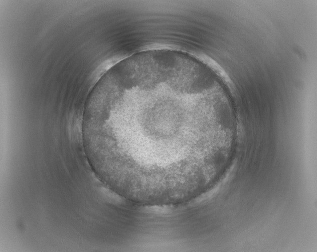 X0000114390937200911271455