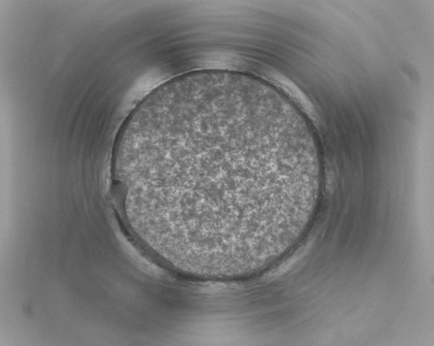 X0000114390938200911271455