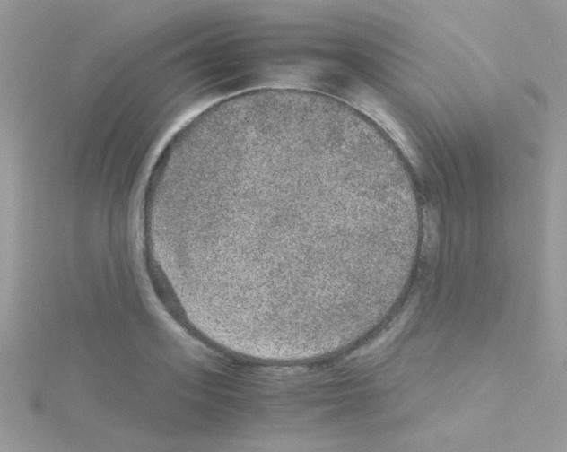 X0000114390939200911271455