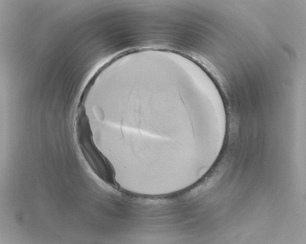 X0000114390941200911271455