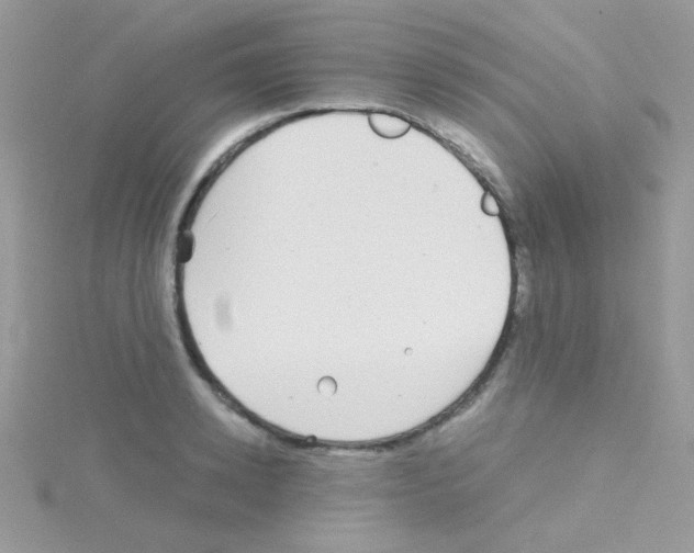 X0000114390942200911271455