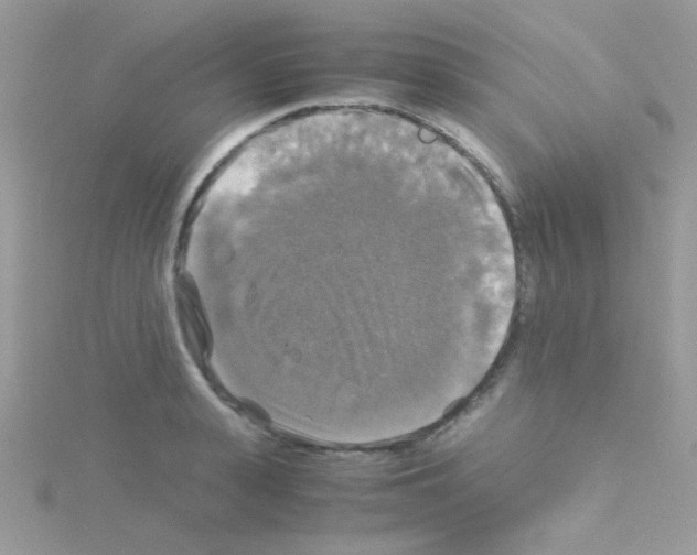 X0000114390943200911271455