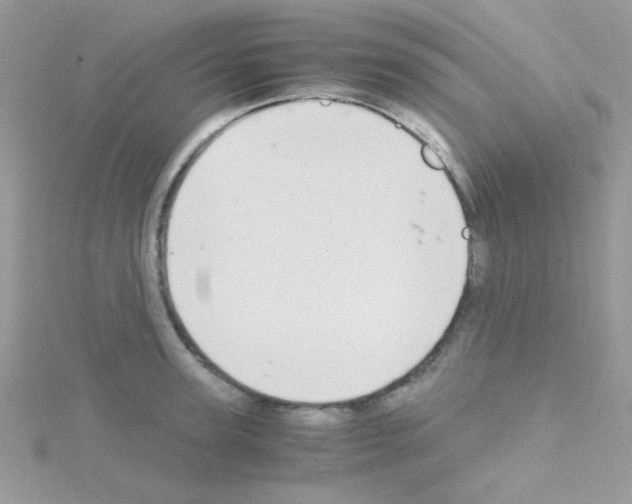 X0000114390947200911271455