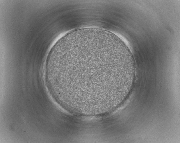 X0000114390949200911271456