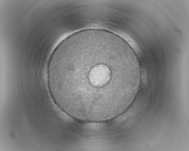 X0000114390950200911271456