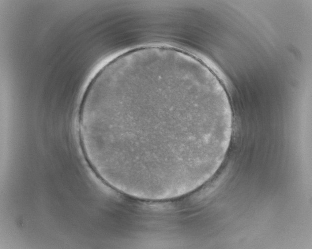 X0000114390951200911271456