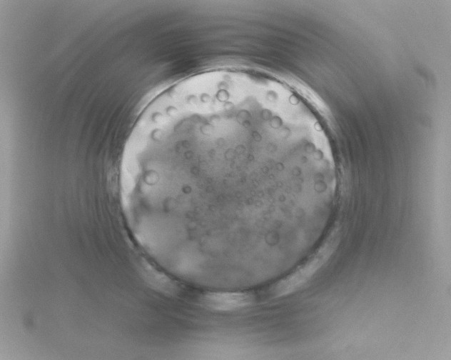 X0000114390953200911271456