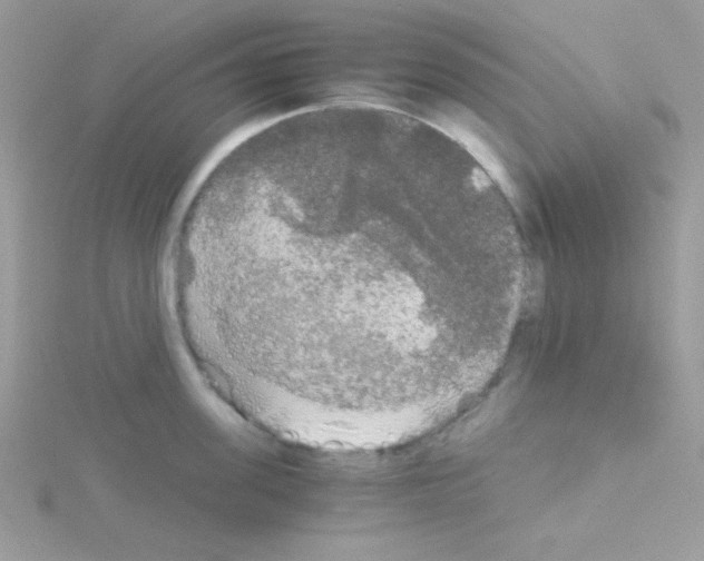 X0000114390955200911271456