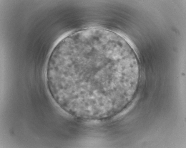 X0000114390957200911271456