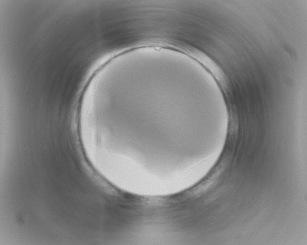 X0000114390958200911271456