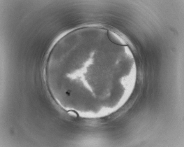 X0000114390959200911271456