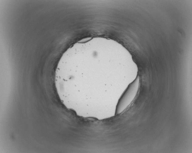 X0000114390961200911271455