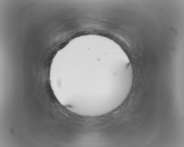 X0000114390965200911271455