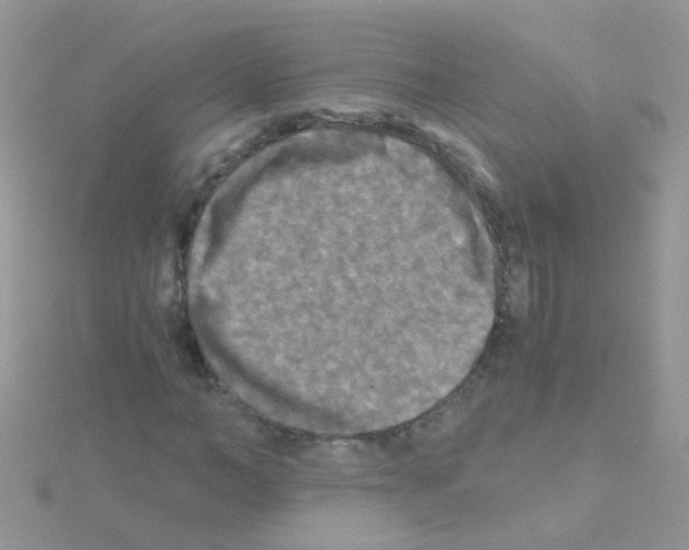 X0000114390966200911271455