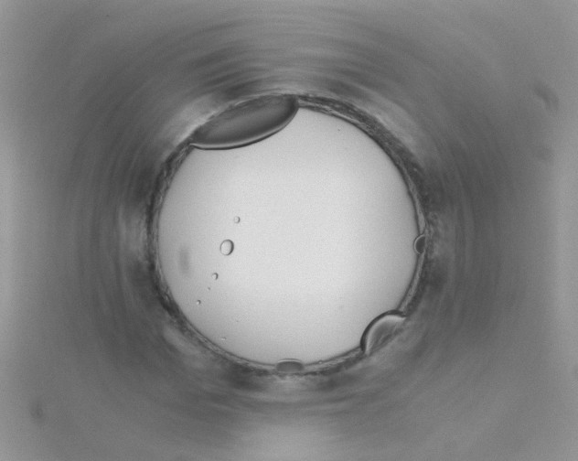 X0000114390969200911271455