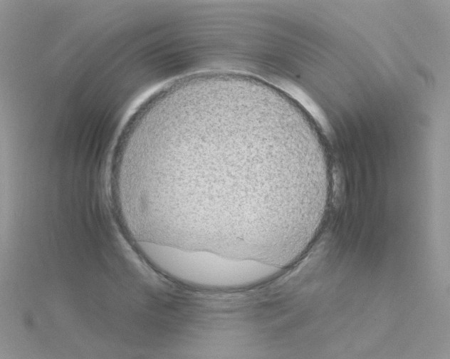 X0000114390972200911271455