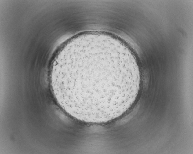 X0000114390974200911271455