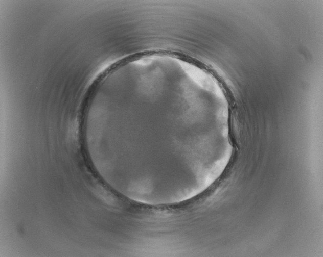 X0000114390975200911271455